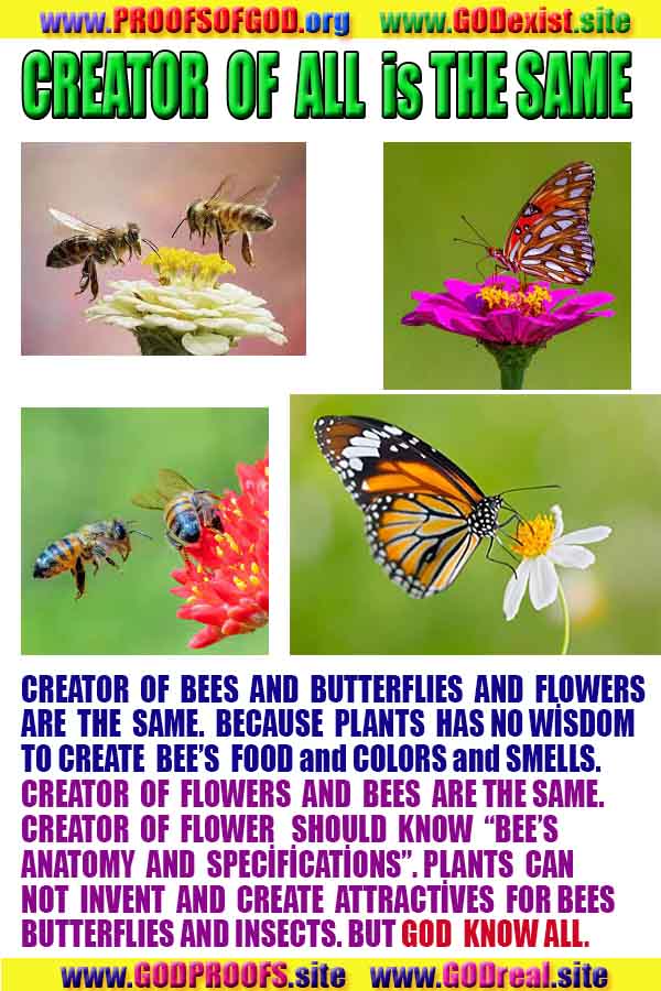 proofs of god, proofs-god, evidences of god, evidences-god, signs of god, signs-god, god exists proofs, what are proofs of god?,, signs-god, god exists