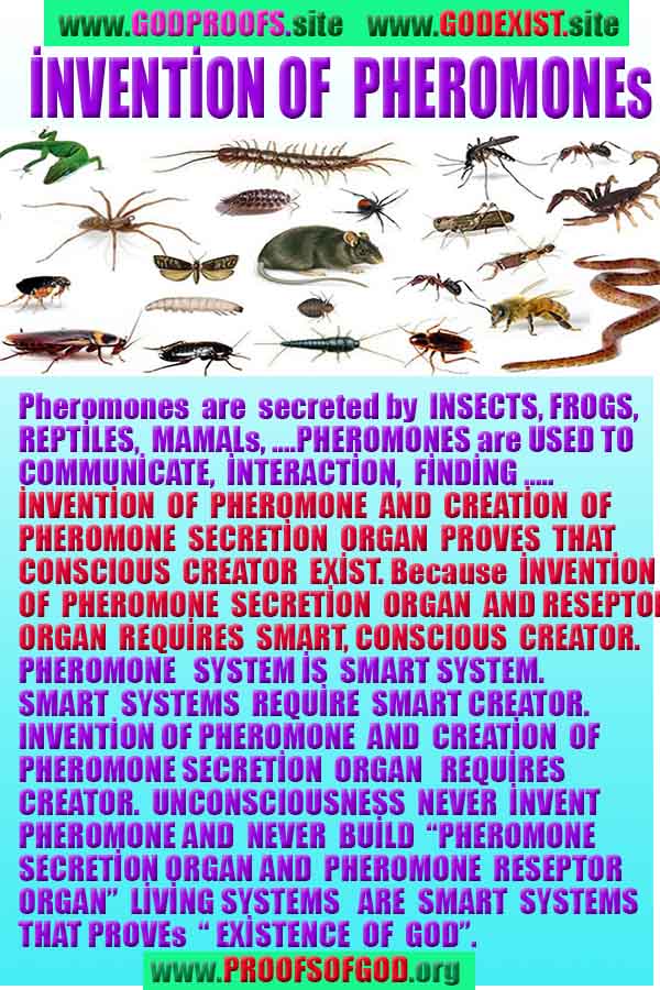 proofs of god, proofs-god, evidences of god, evidences-god, signs of god, signs-god, god exists proofs, what are proofs of god?,, signs-god